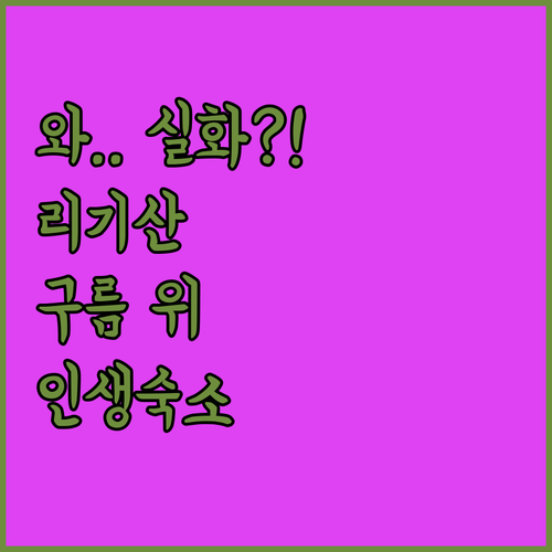 리기산 구름 위에서 아침을 맞이하는 ..