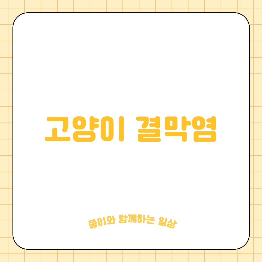 고양이 결막염(Conjunctivitis)