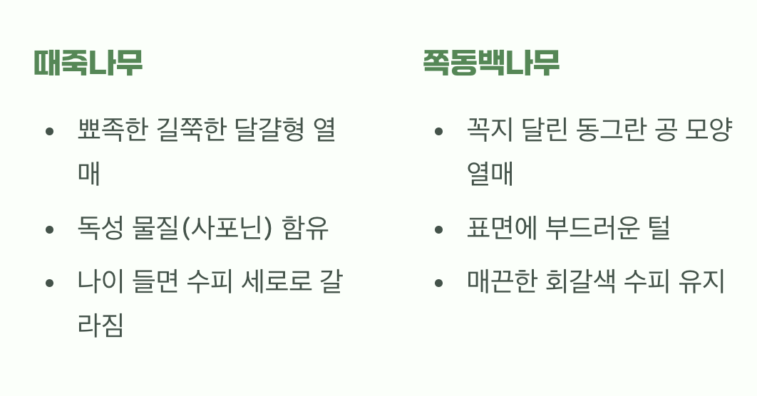 꽃이 진 뒤의 모습&amp;#44; 열매와 수피