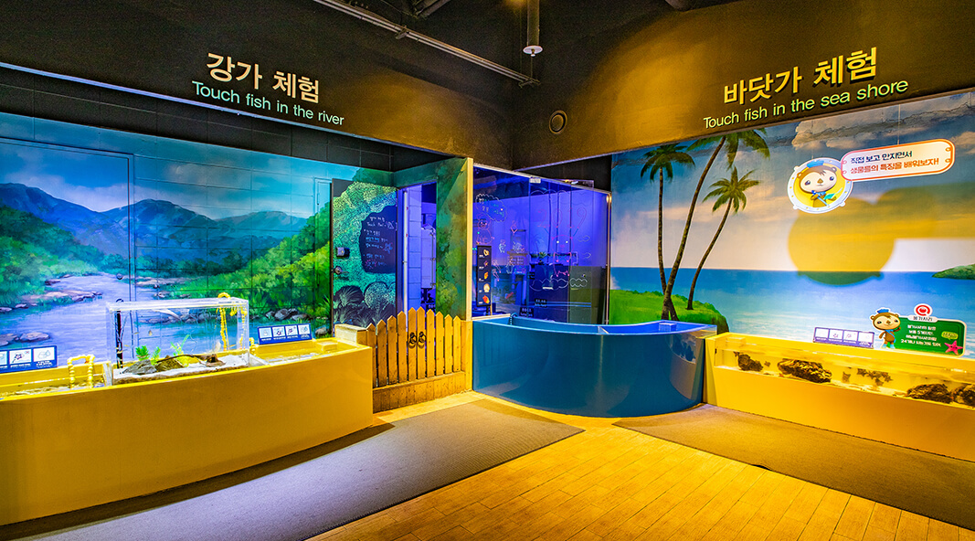 [당일치기] 코엑스 아쿠아리움 놀거리&amp;주차&amp;이벤트&amp;할인혜택