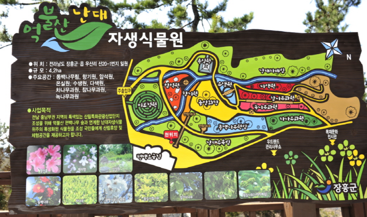 장흥 우드랜드 편백숲