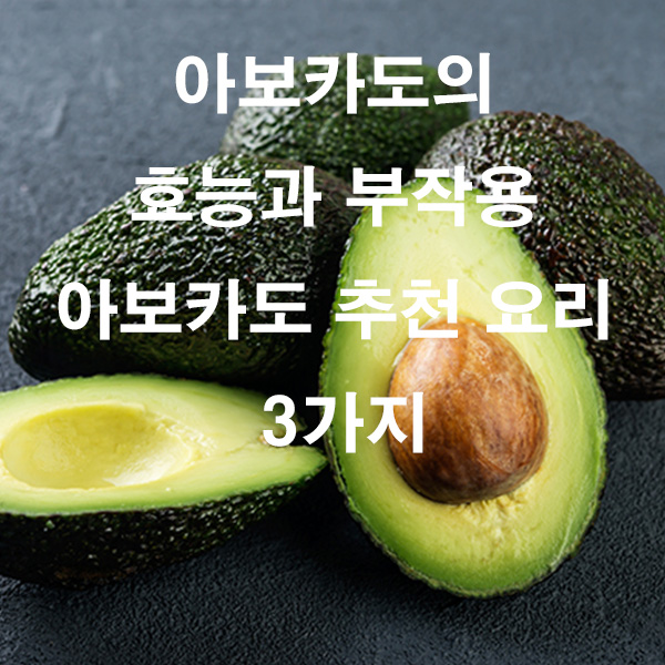 아보카도의 효능과 부작용 아보카도 추천 요리 3가지