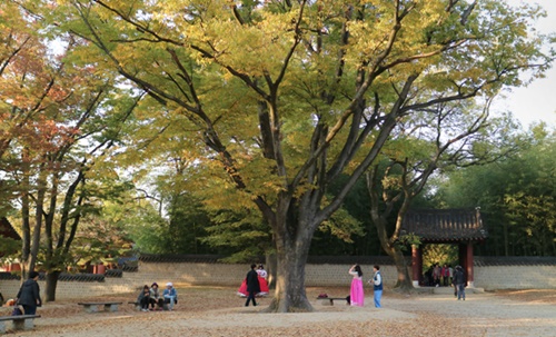 전주 가볼만한곳