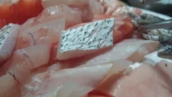 여름 회 추천과 여름철 횟감 여름 제철 회와 생선 정보_11