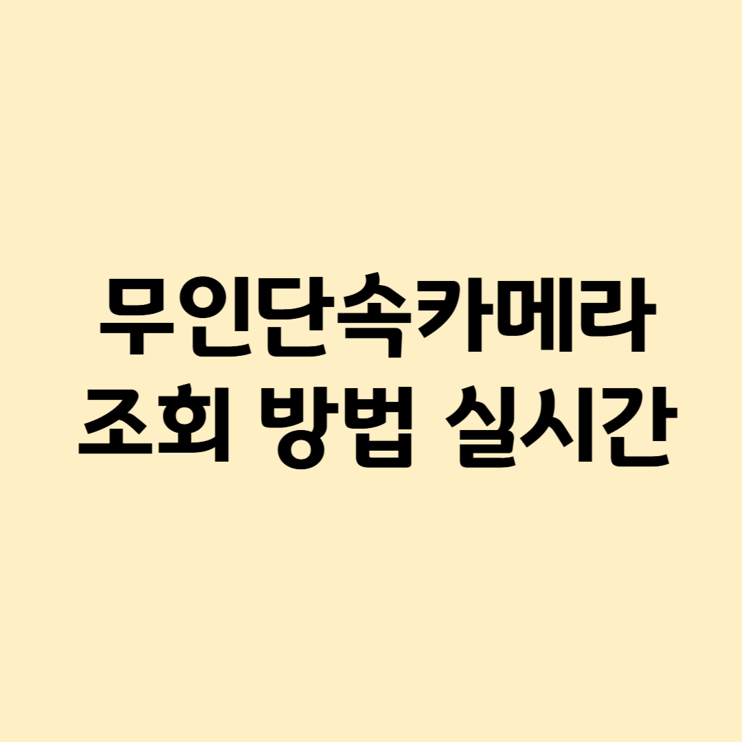 무인-단속-카메라-조회-방법