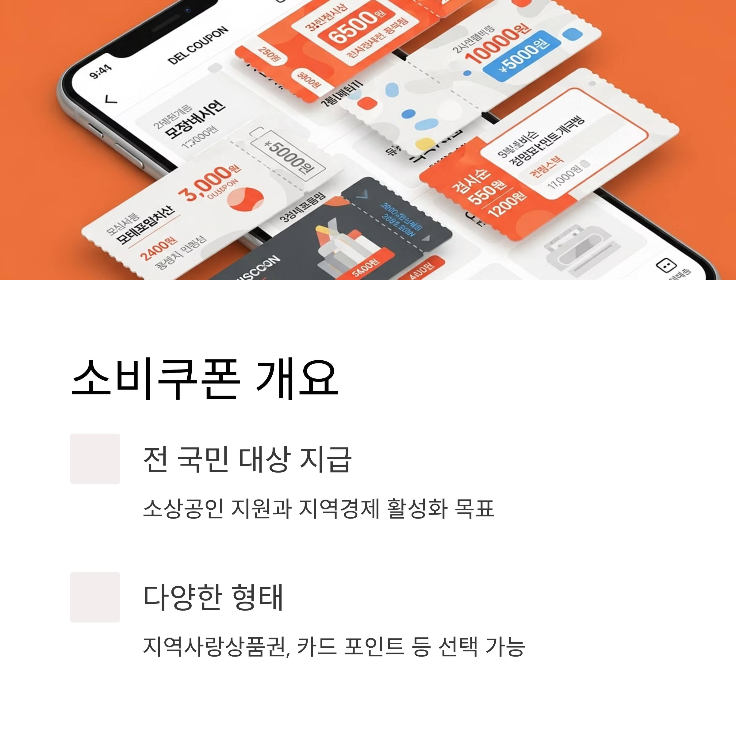 소비쿠폰 개요