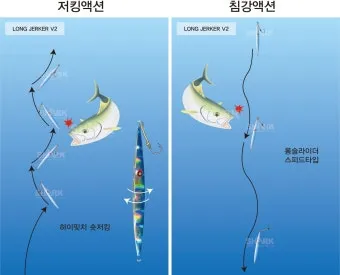 메탈지그 운용 삼치 회유 타이밍 포인트와 릴링 속도 조절_11