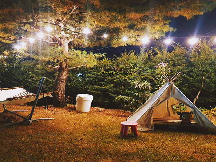 가평 가볼만한곳 베스트10