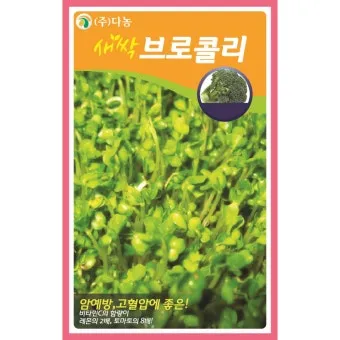 새싹브로콜리 재배 트레이 파종 물 관리 영양 풍부_2