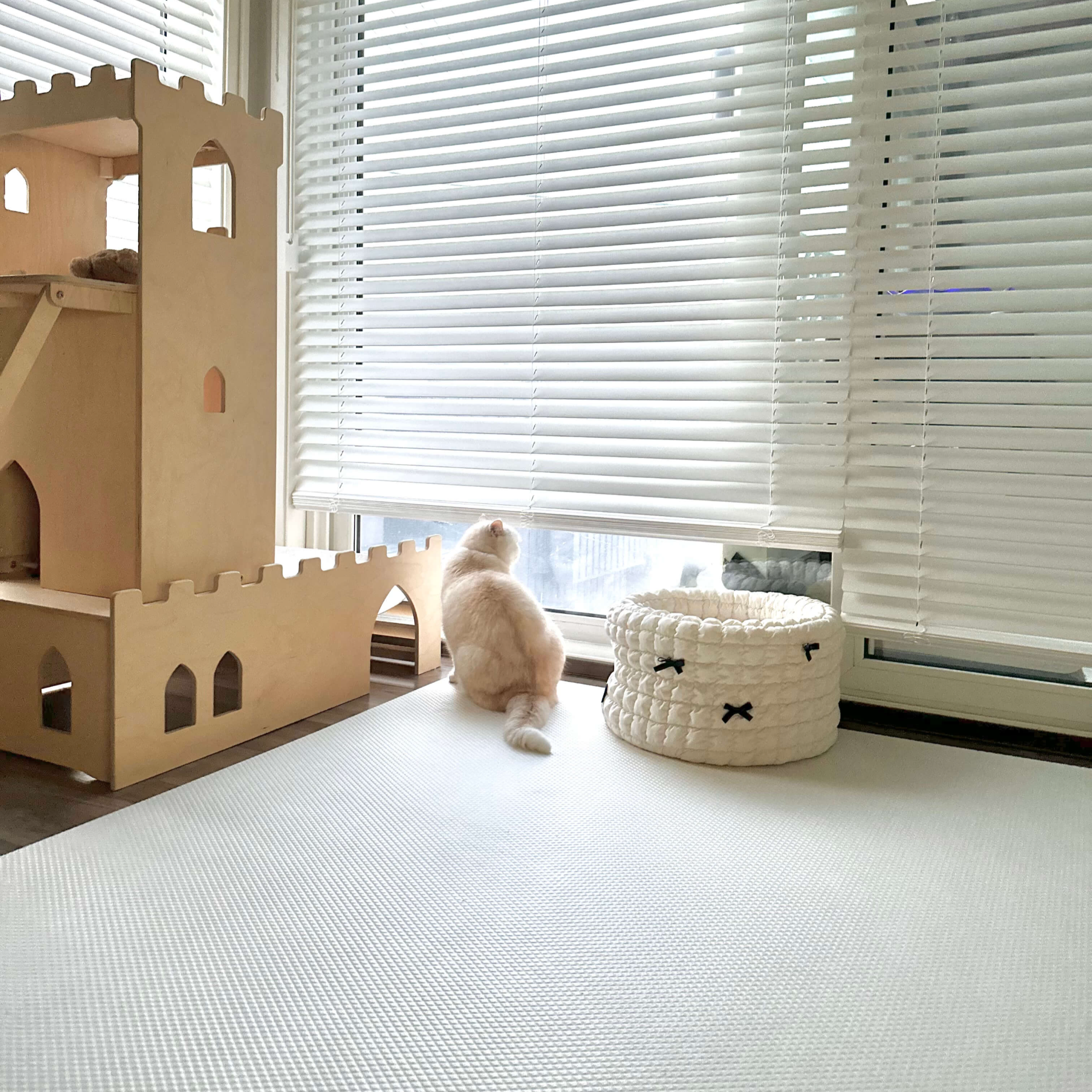 디팡 강아지 매트 설치 후, 고양이가 편안히 쉬는 장면