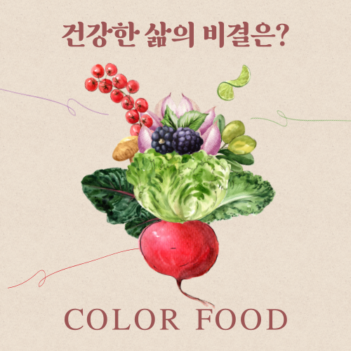 파이토케미컬 생명을 살리는 식단