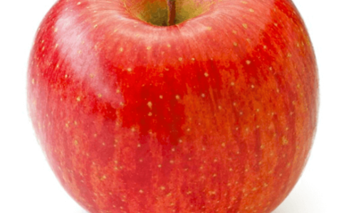 사과 사진