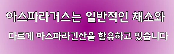 아스파라거스는 일반적인 채소와 다르게 아스파라긴산을 함유하고 있습니다