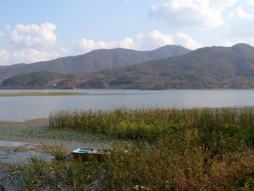 한강 강변 갈대와 잔잔한 물, 산이 이어지는 드라이브 풍경