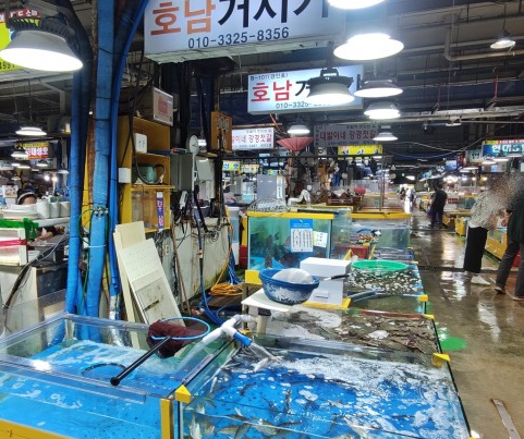 호남거시기