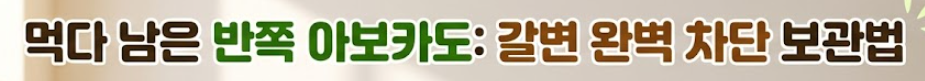 아보카도 보관법