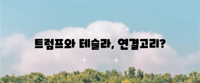 트럼프 관련주와 수혜주로는 테슬라가 있습니다, 주목해 보세요.
