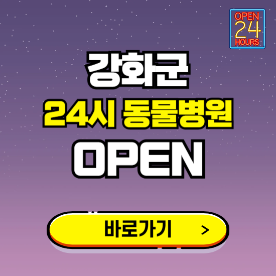 인천 강화군 24시 동물병원 진료하는 곳 ❘ 설날 휴일 야간 심야 문여는곳 찾기 ❘ 응급진료