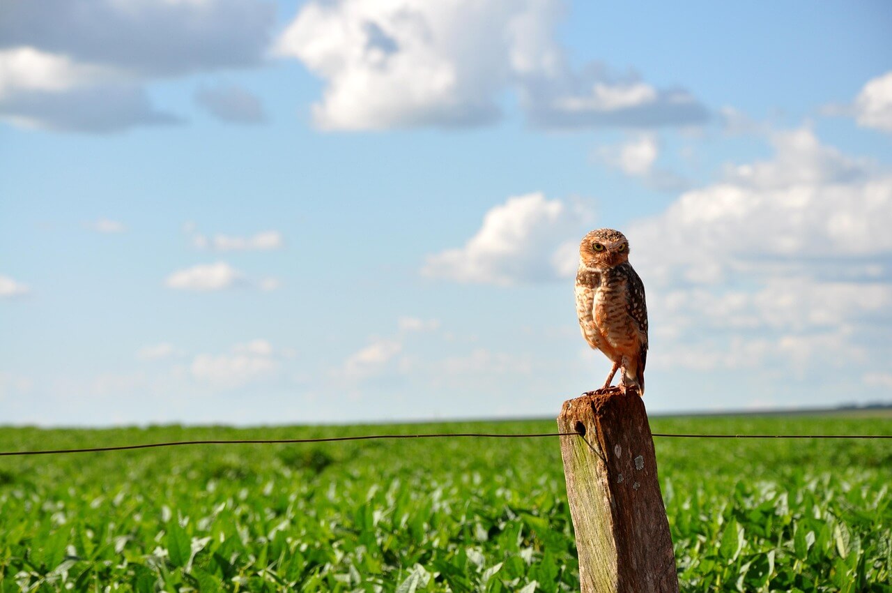 2026년 50대에게 가장 유리한 귀촌 지역