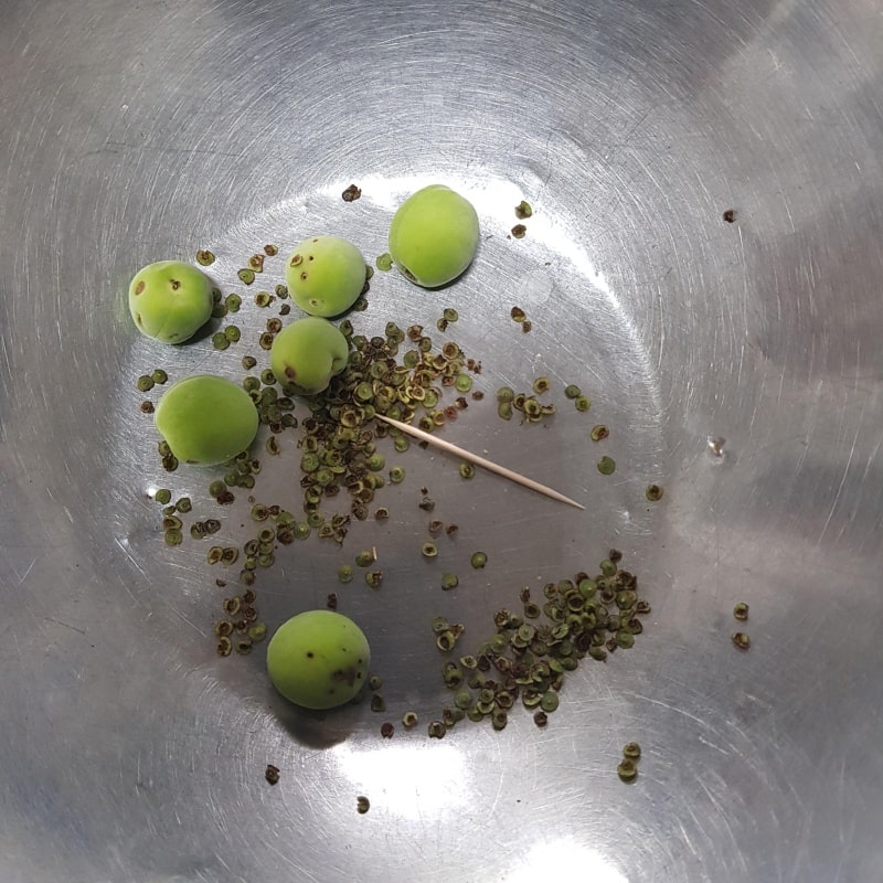 매실 꼭지 제거