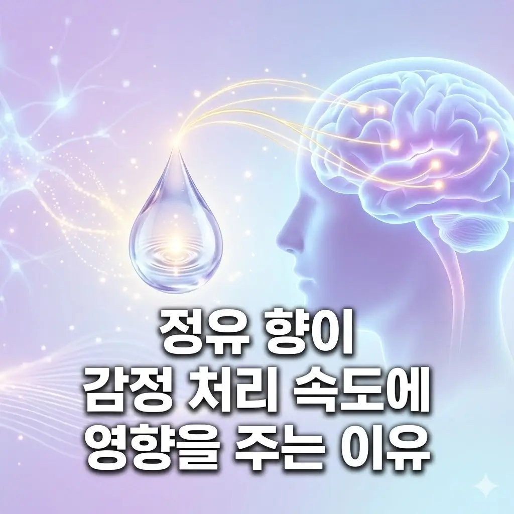 정유 향이 감정 처리 속도에 영향을 주는 이유