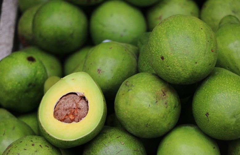 아보카도 효능｜종류｜제철｜아보카도 보관방법｜손질 방법｜먹는 방법