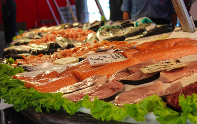 오메가3가 많이 함유된 연어