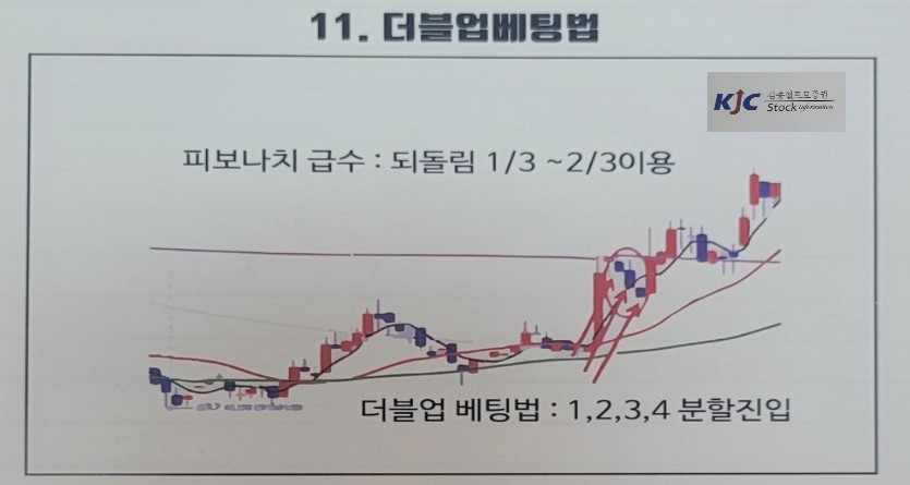 11. 더블업 베팅법 개념 이해를 위한 도식화