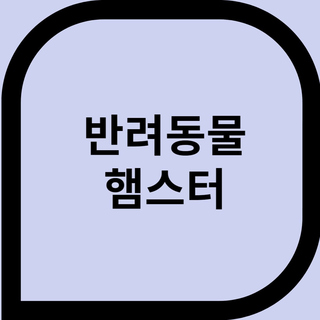 반려동물 햄스터