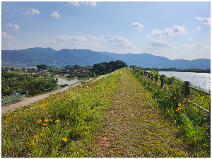 요천생태습지공원