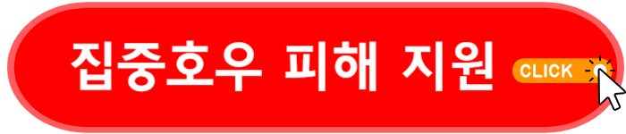 집중호우 피해 지원