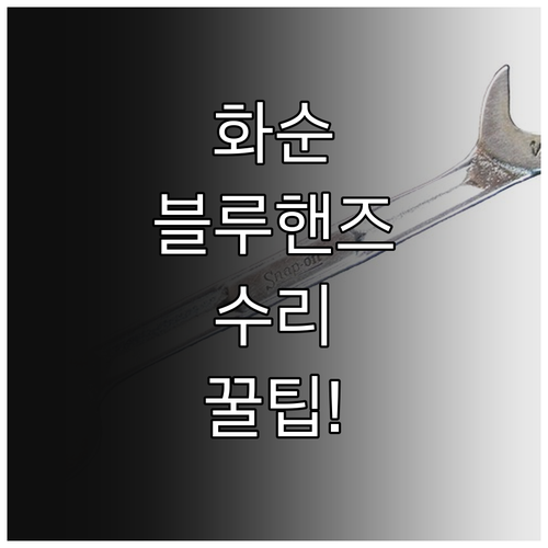 현대자동차 블루핸즈 화순 지역 지점별..