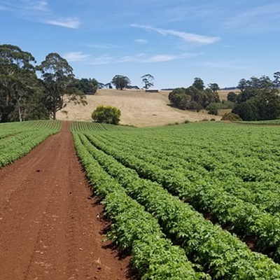 토양 침식이란 무엇인가