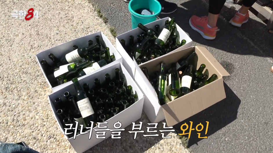 경기의 취지가 궁금한 프랑스 메독 마라톤.jpg | 인스티즈