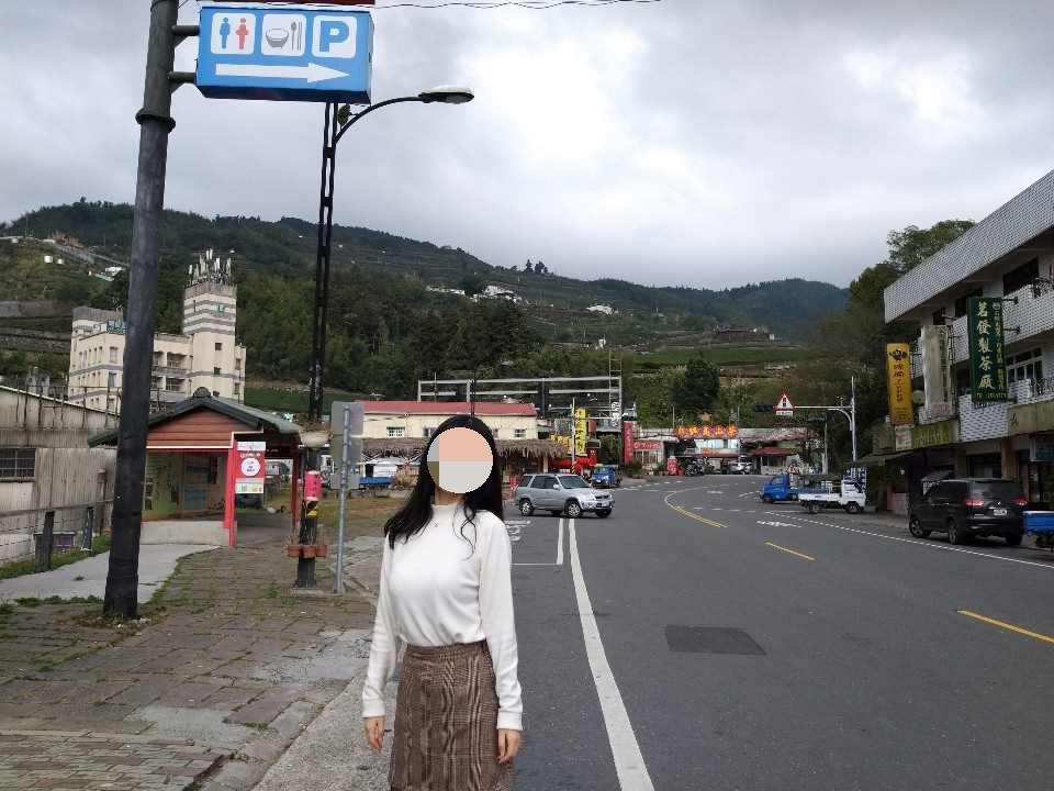 자이에서 아리산 가는 법