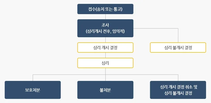 소년보호재판과 소년 보호 처분