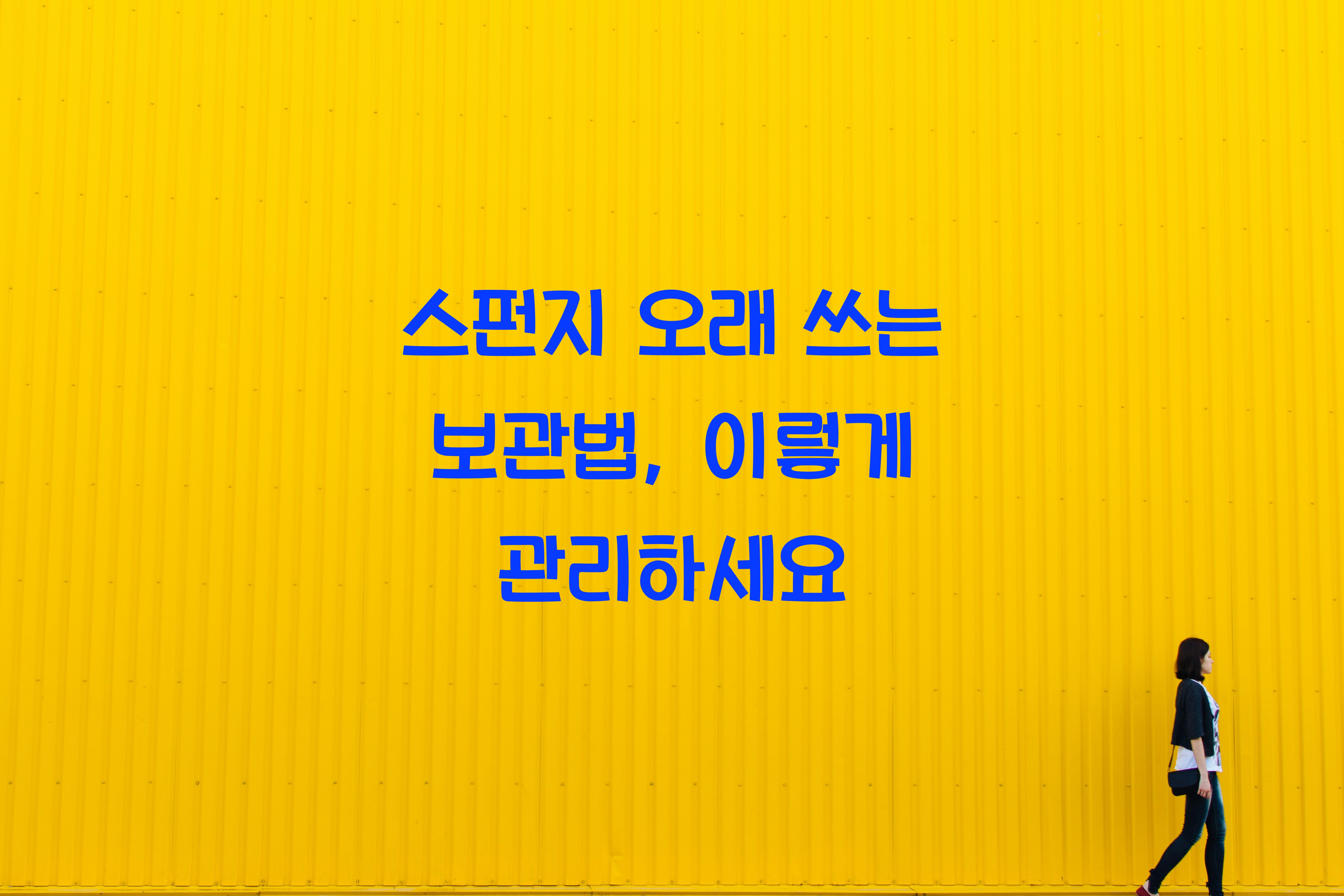 스펀지 오래 쓰는 보관법