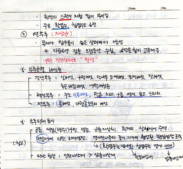백색부후, 연부후