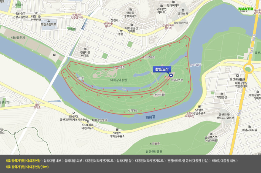 2025 태화강 국제마라톤 – 일정, 코스, 참가 방법 총정리 🏃♂️🌿