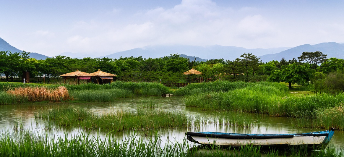 순천만습지이미지