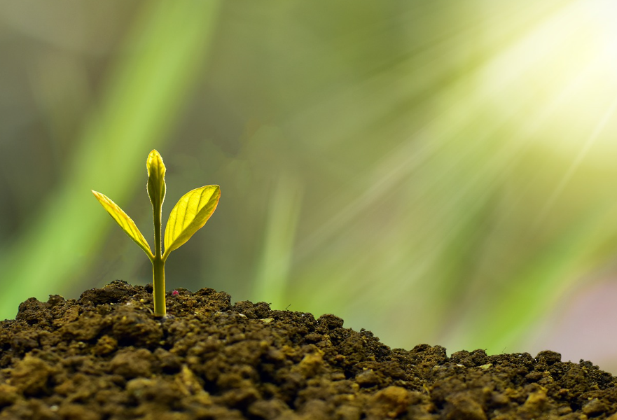 ISA, IRP 절세전략계좌 비교