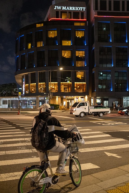 60대 기사가 몰던 시내버스, 횡단보도 보행자·오토바이 잇따라 들이받아