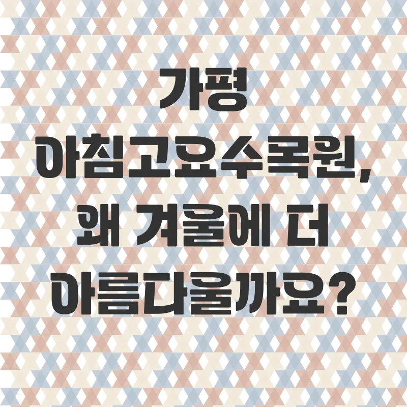 아침고요수목원빛축제_1