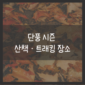 단풍 시즌 산책·트래킹 장소 추천