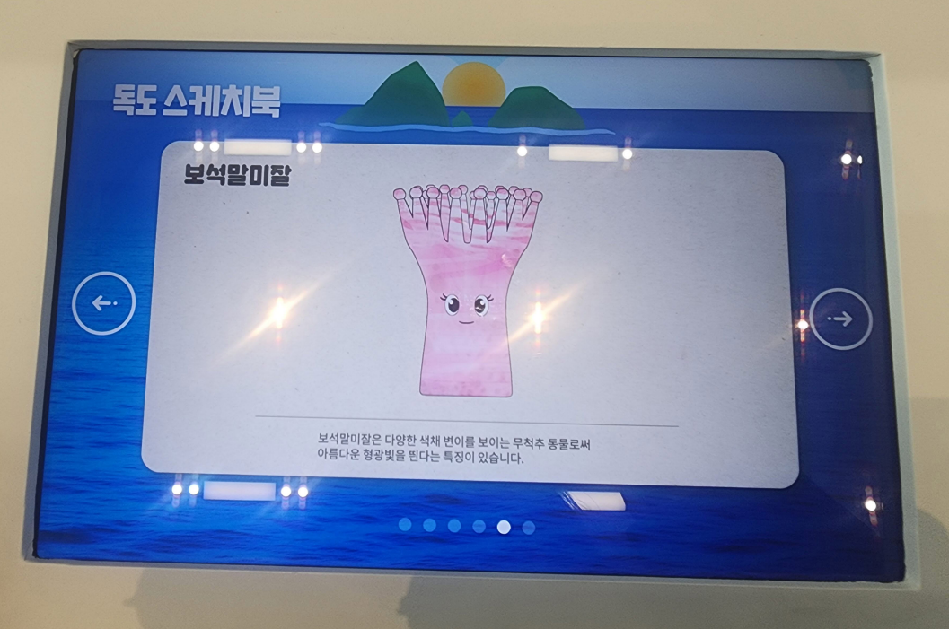 독도 스케치북에서 보석말미잘 그림에 색을 입히면 옆 대형 스크린에 그대로 나타나는 체험 장면