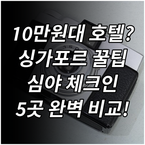 싱가포르 여행 심야 체크인 가능 10..