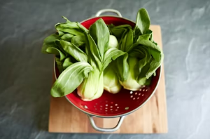 봄 캠핑의 맛은 신선도에서! 아이스박스 명당자리에 봄나물 패킹하는 황금 레이어링