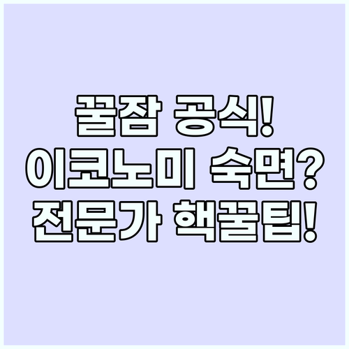 비행기 꿀잠 공식 수면 전문가가 알려..