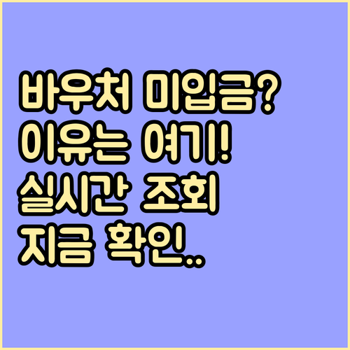 소상공인 경영안정 바우처 미입금 사유..