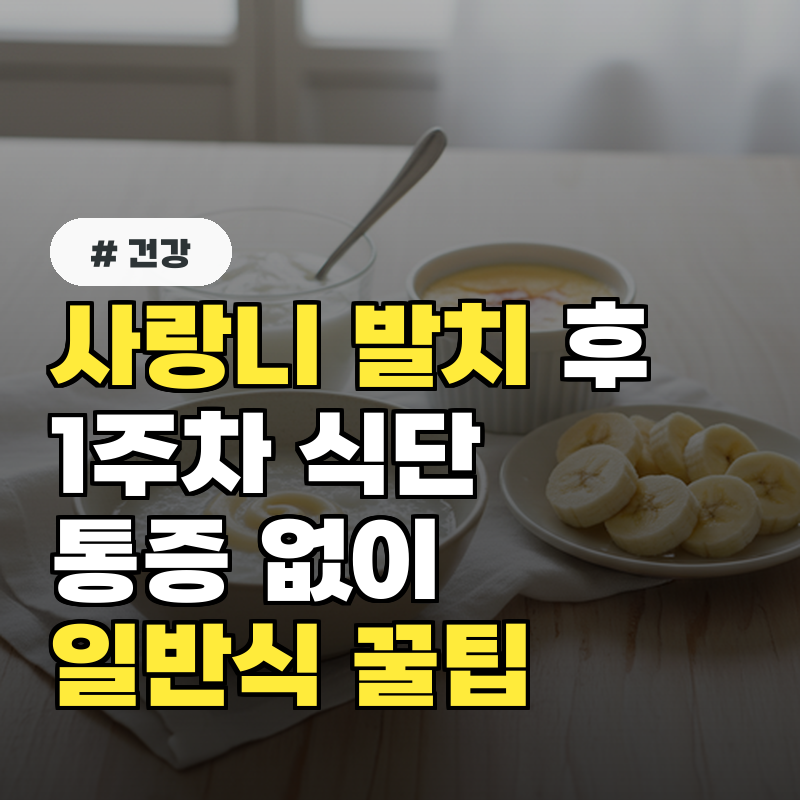 사랑니 발치 후 1주차 식단! 통증 없이 일반식 전환 꿀팁